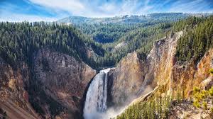 image of yellowstone national park
